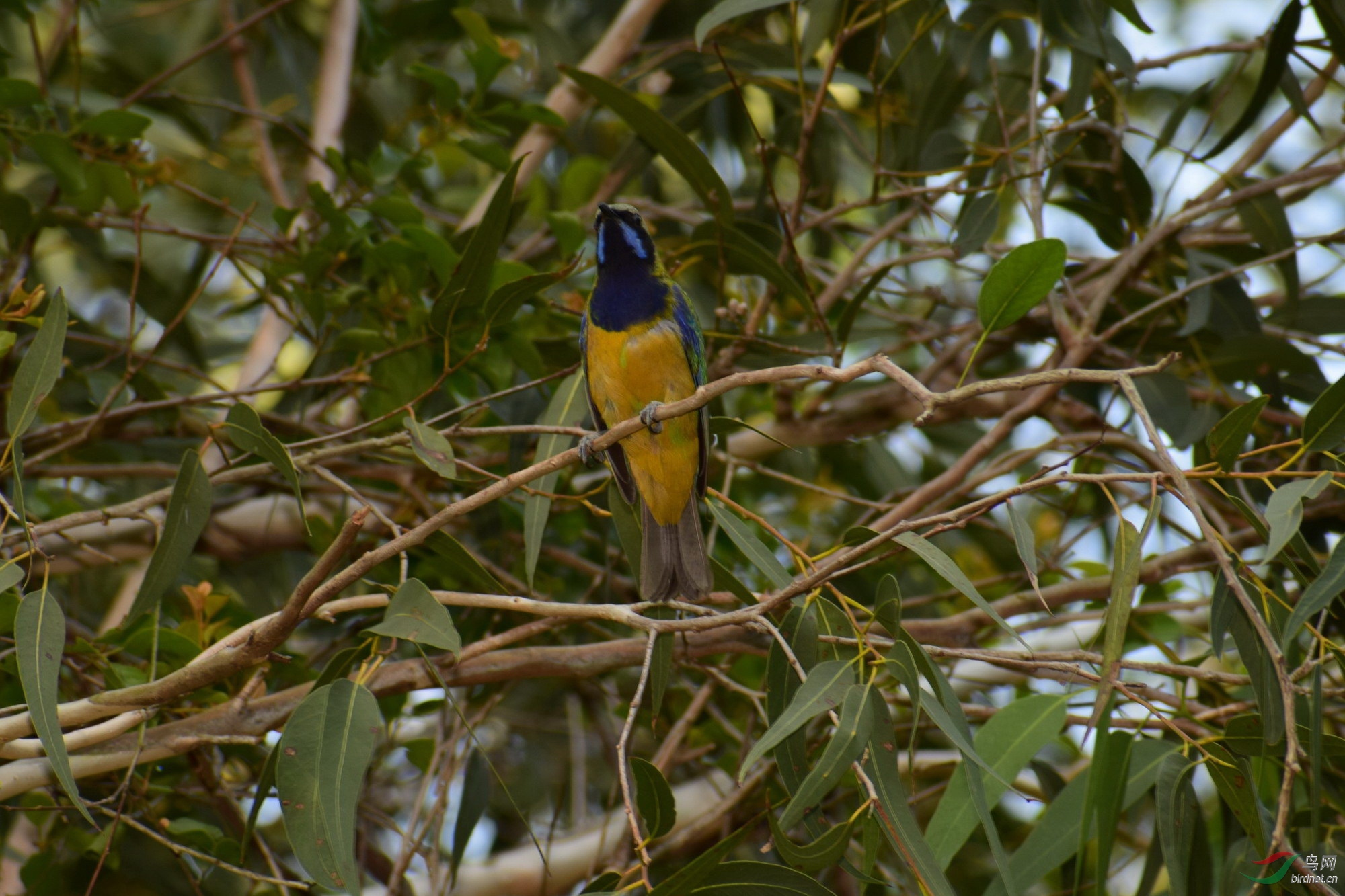 DSC_2961.JPG