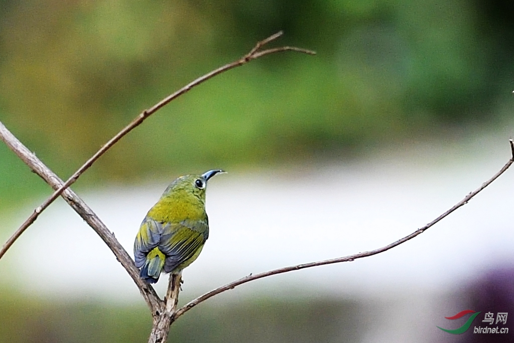 DSC_0227a.jpg