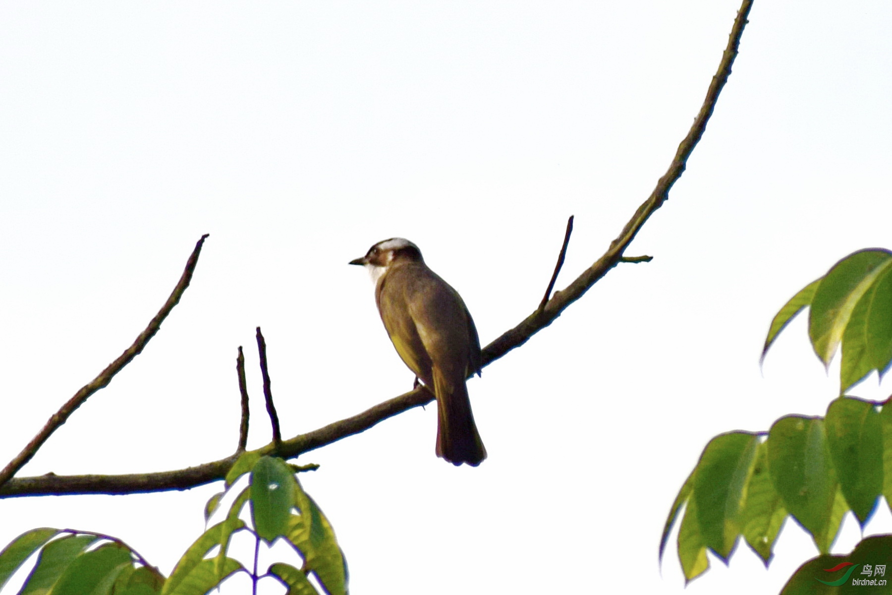 DSC_4314.JPG