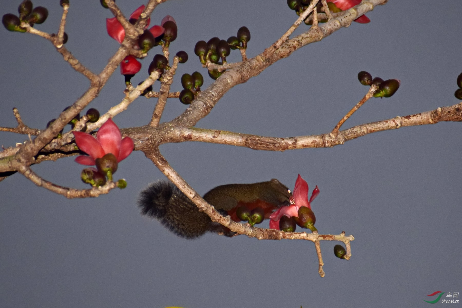 DSC_4416.JPG