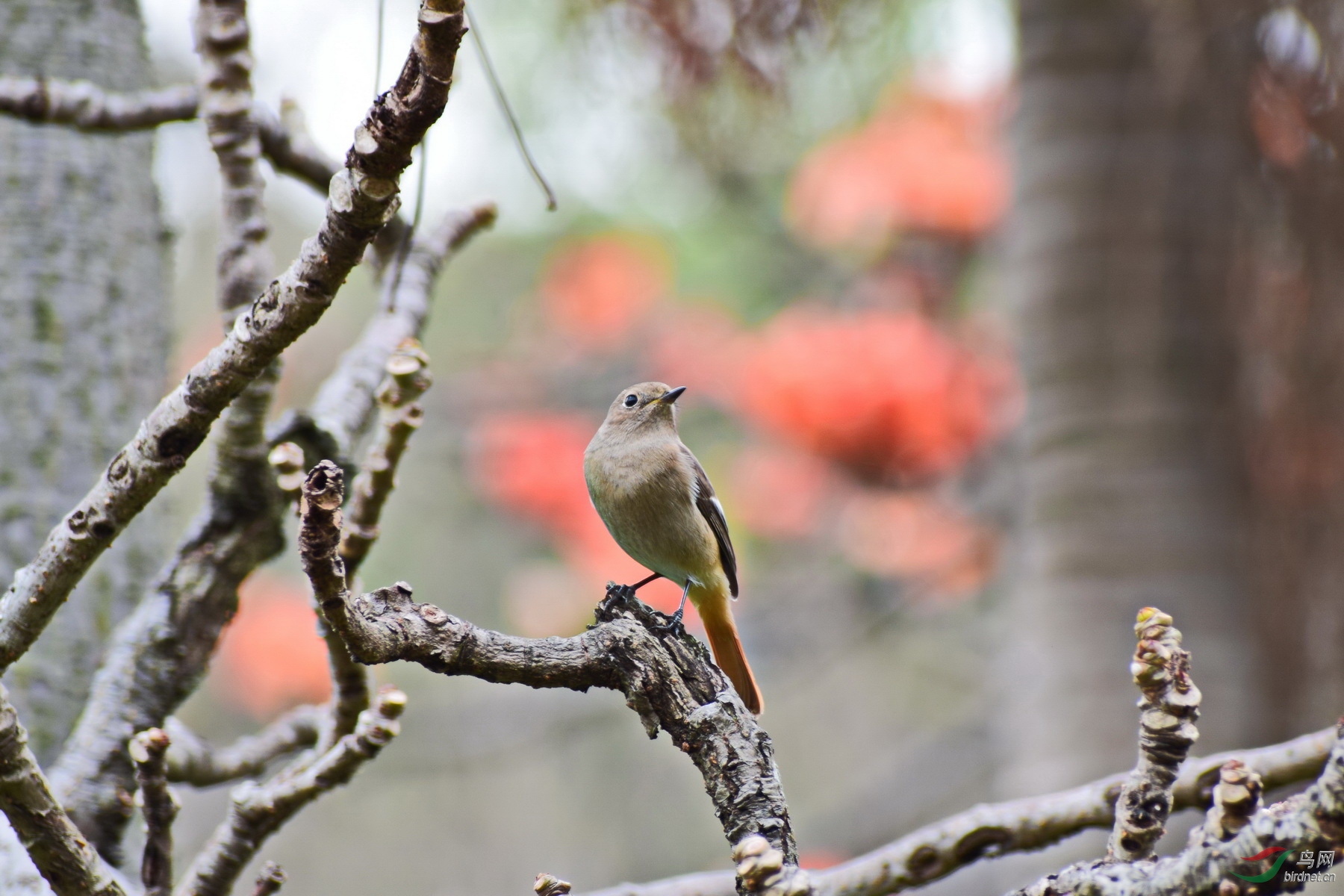 DSC_4372.JPG