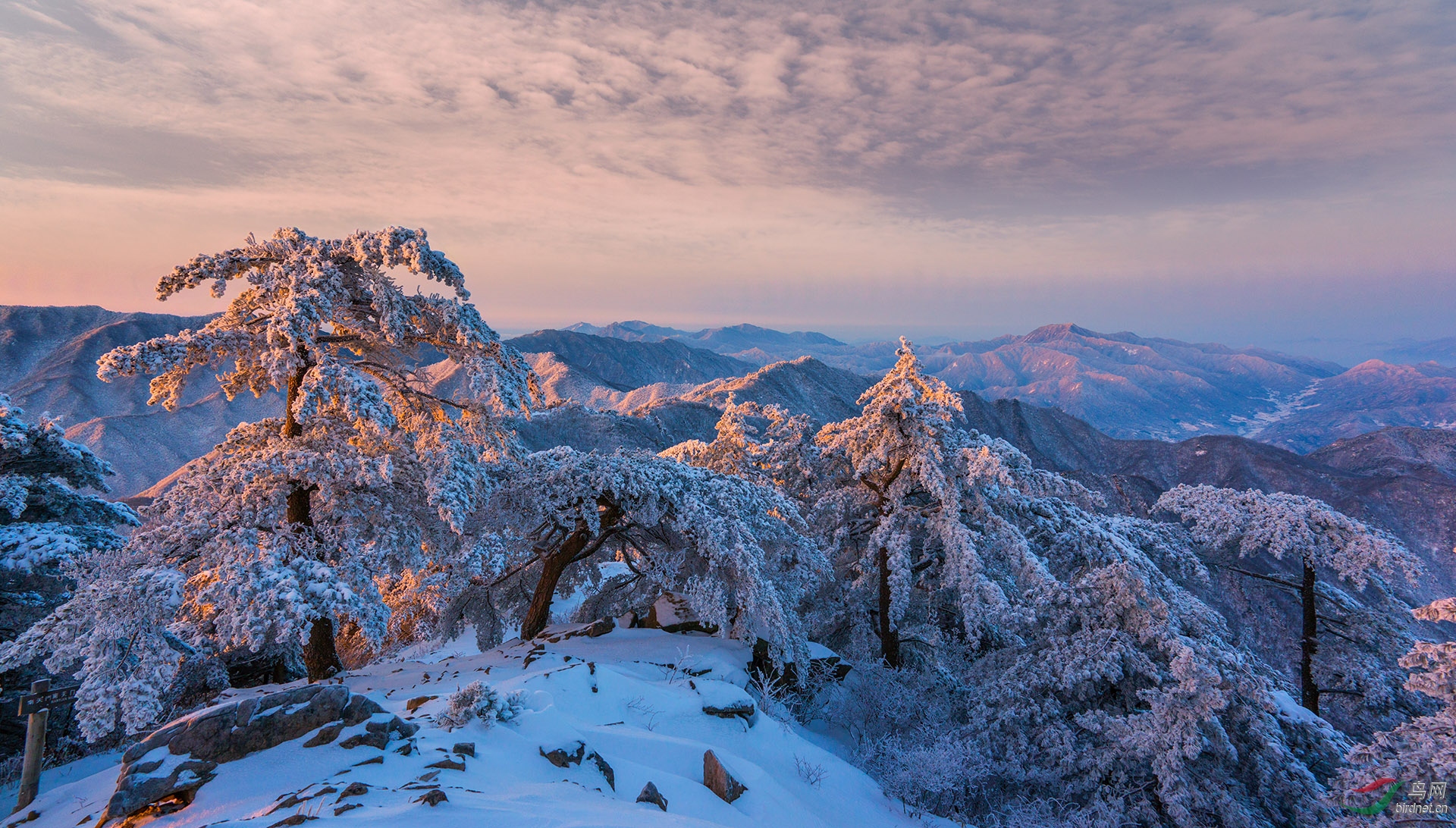 昆虫航拍雪后大别山主峰白马尖