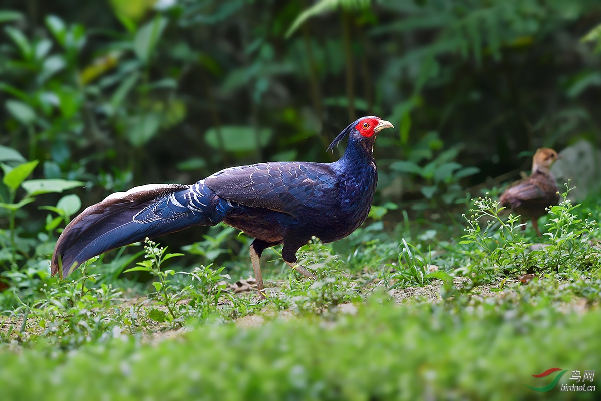 DSC_1401.jpg