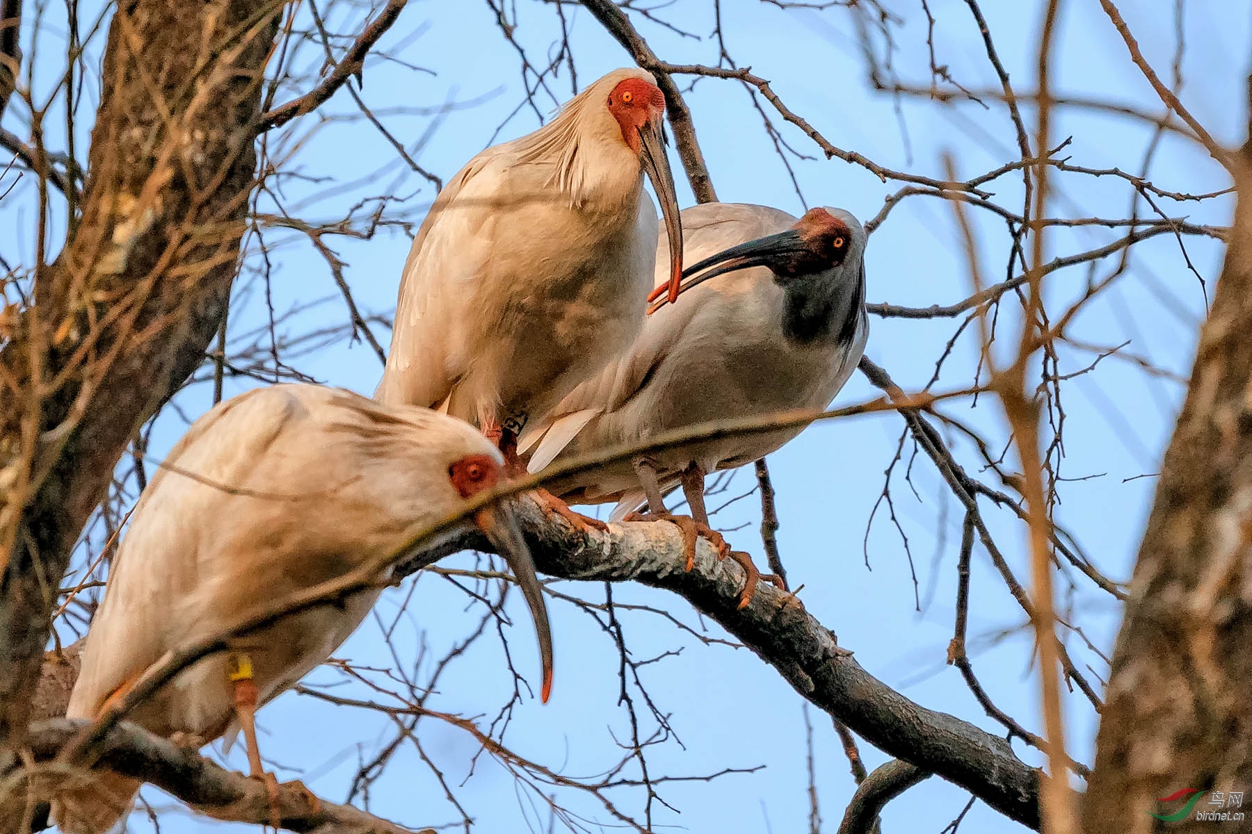 _DSC5710_2.jpg