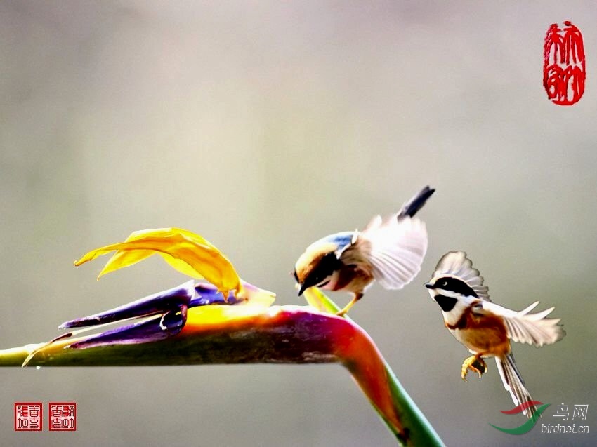 BEE45AB2-C456-488E-9D6D-2F3901631F7E.jpeg