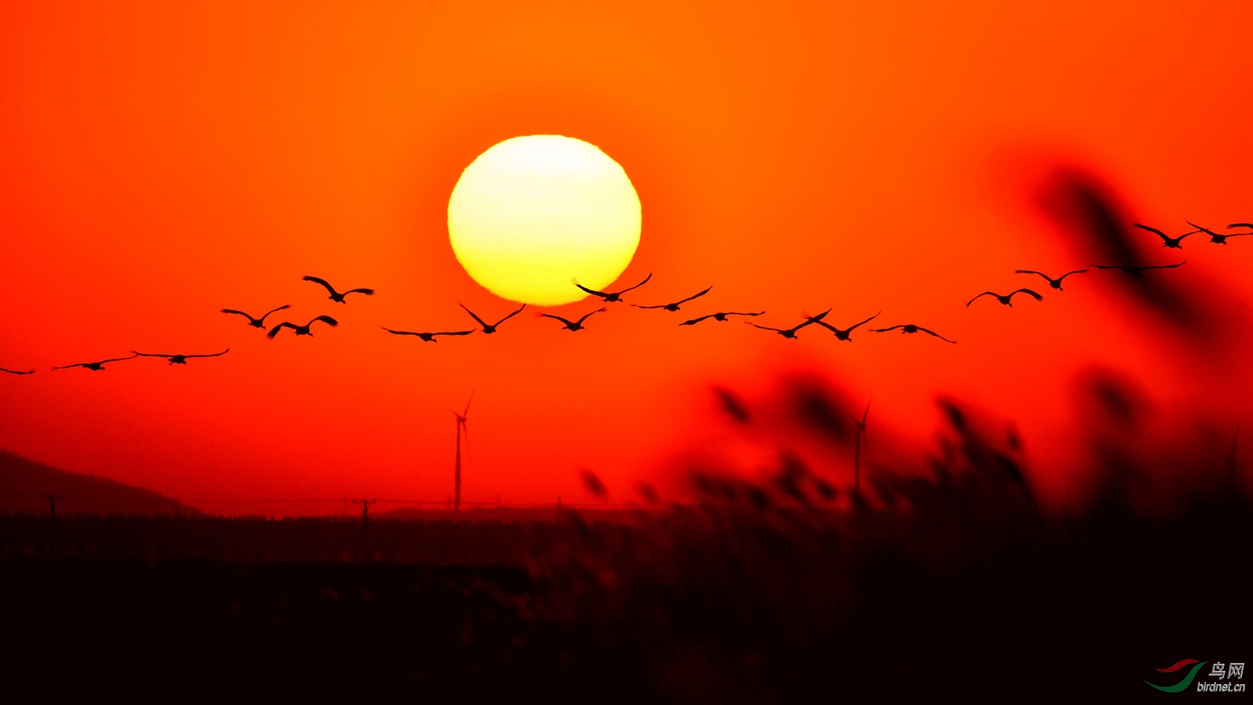 IYK_4577 ����_����_����.jpg