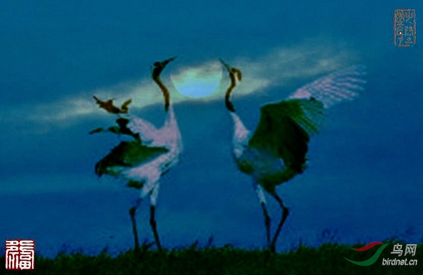 9D84AB6F-59FE-4E72-AD37-0F74F7701432.jpeg