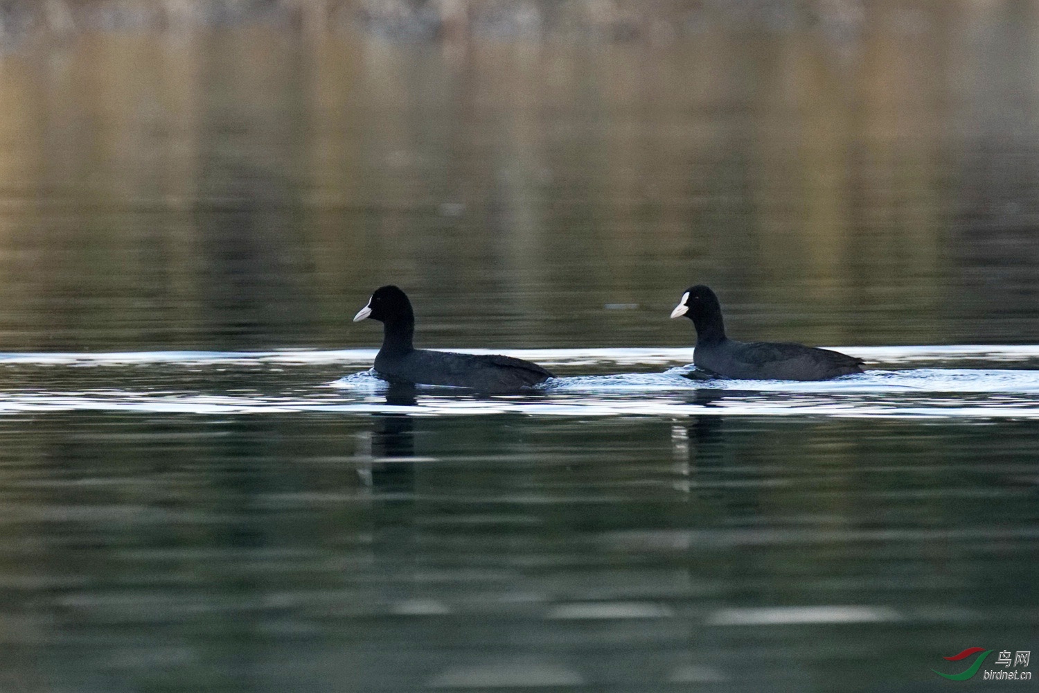 63D00213.jpg