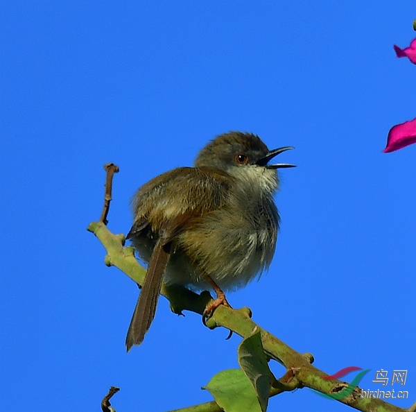 DSC_5167.JPG