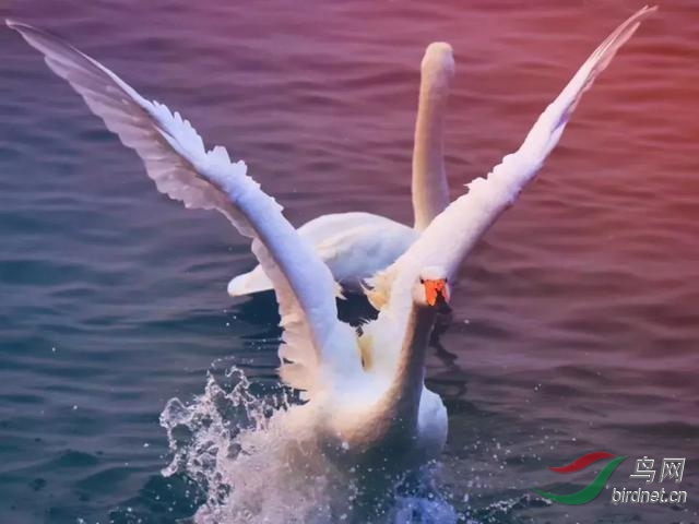 u=2437310279,3950264886&amp;fm=173&amp;app=49&amp;f=JPEG.jpg