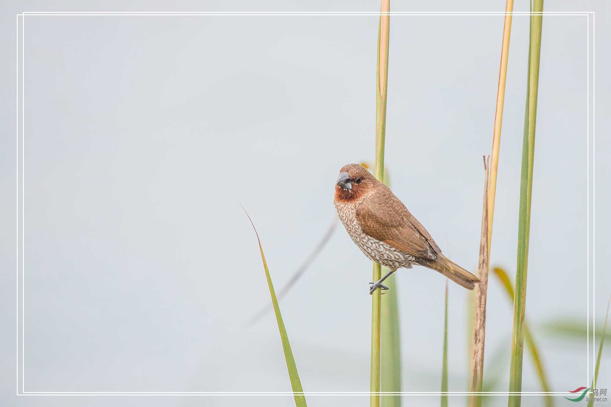 IMG_0098 ����.jpg