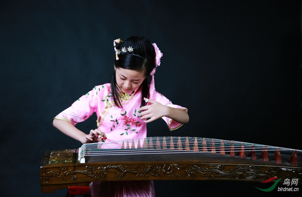 305.jpg