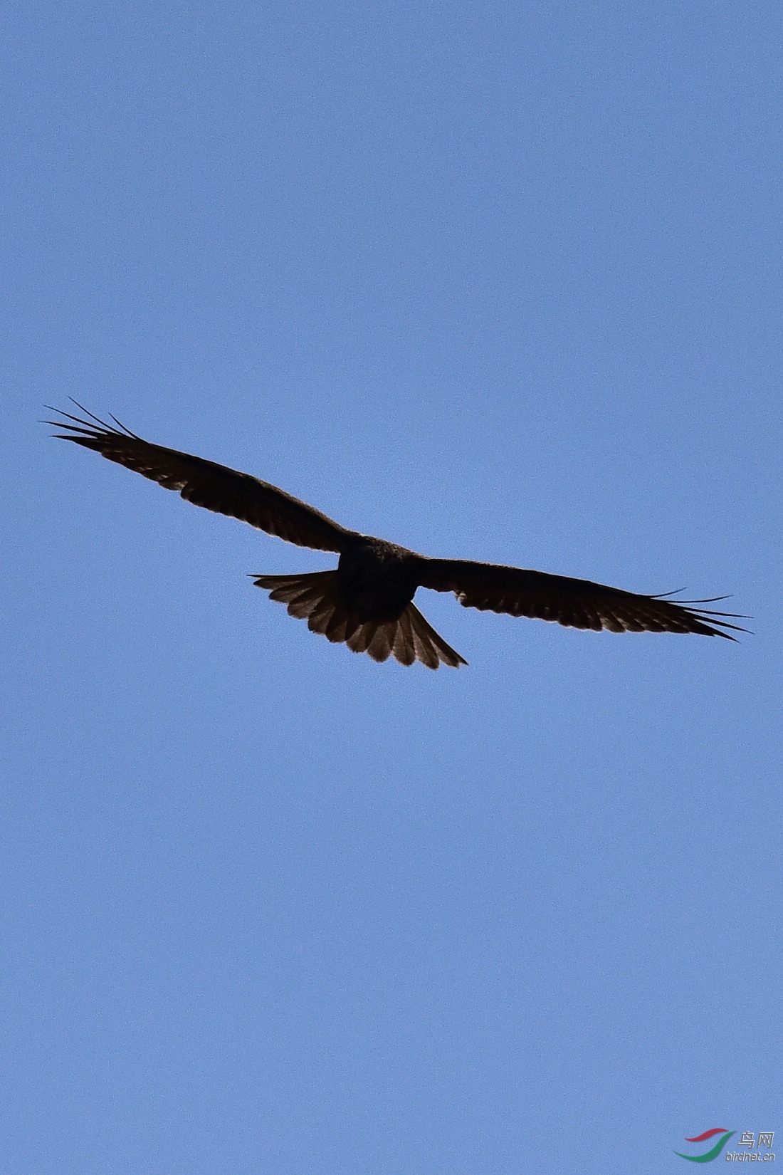 DSC_0281.JPG