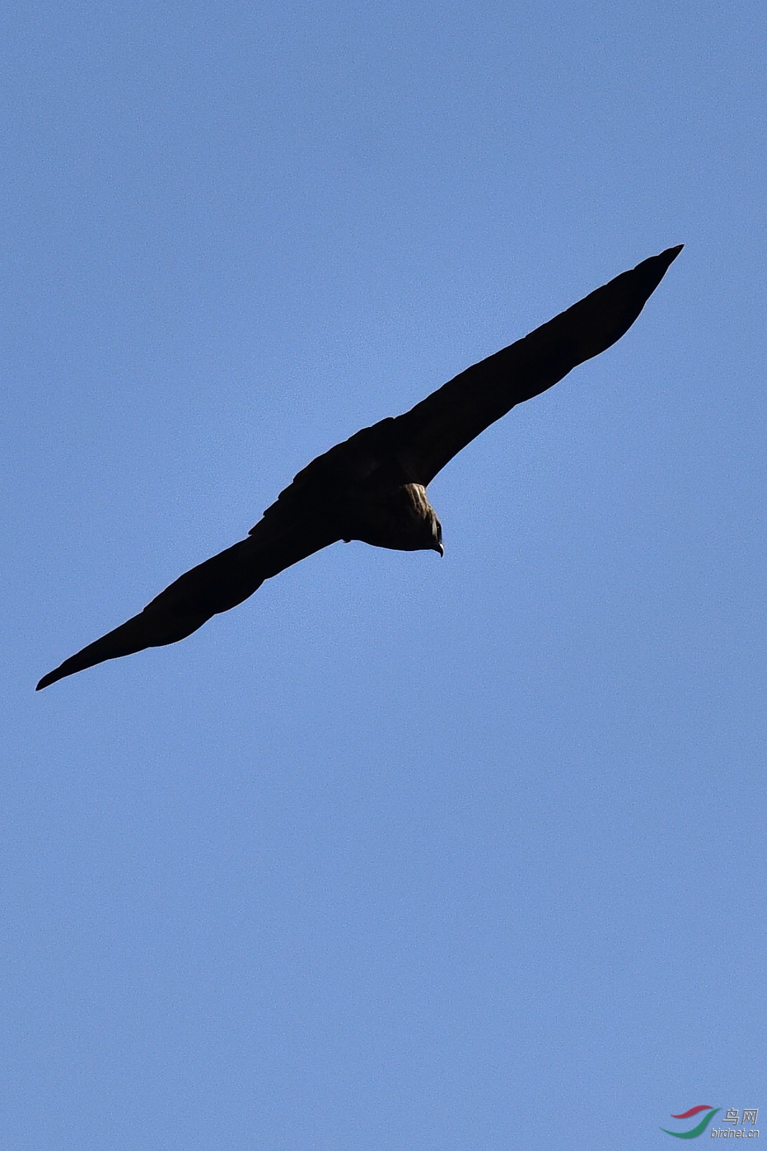 DSC_0282.JPG