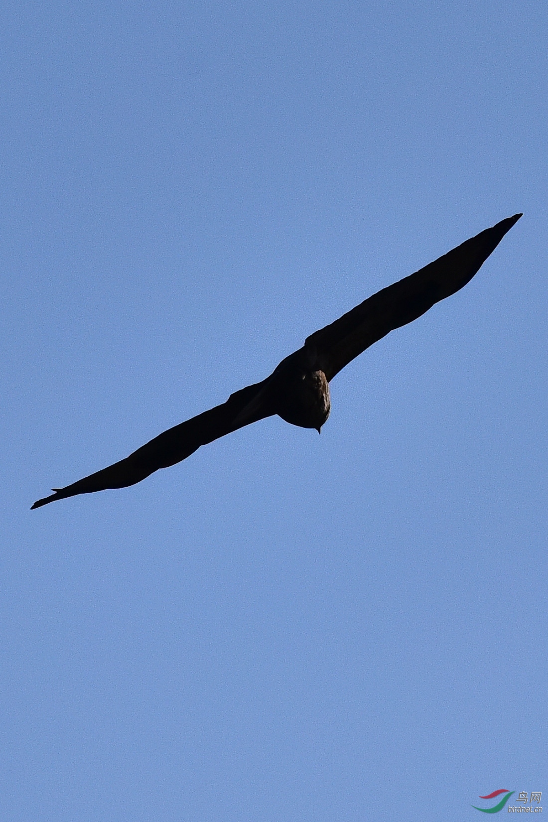 DSC_0283.JPG