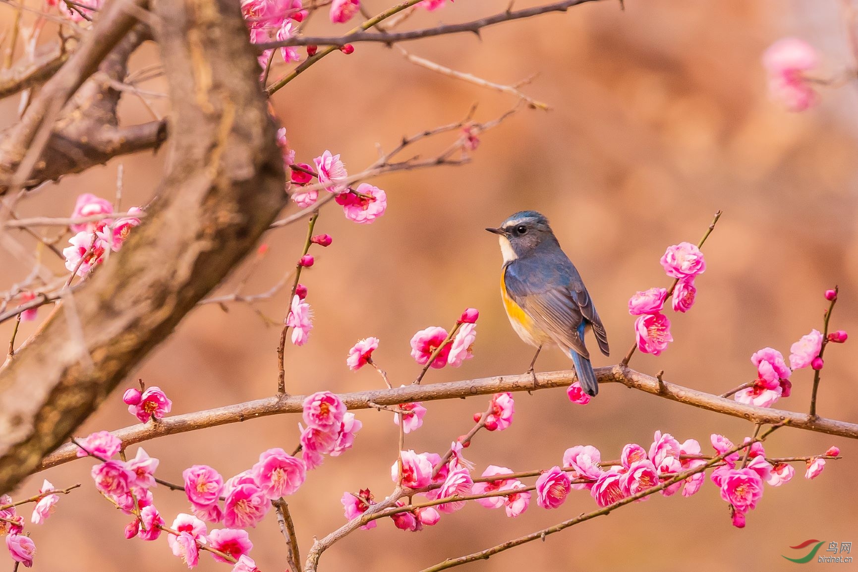 2019.02.16.10.29.45_37403-Edit.JPG