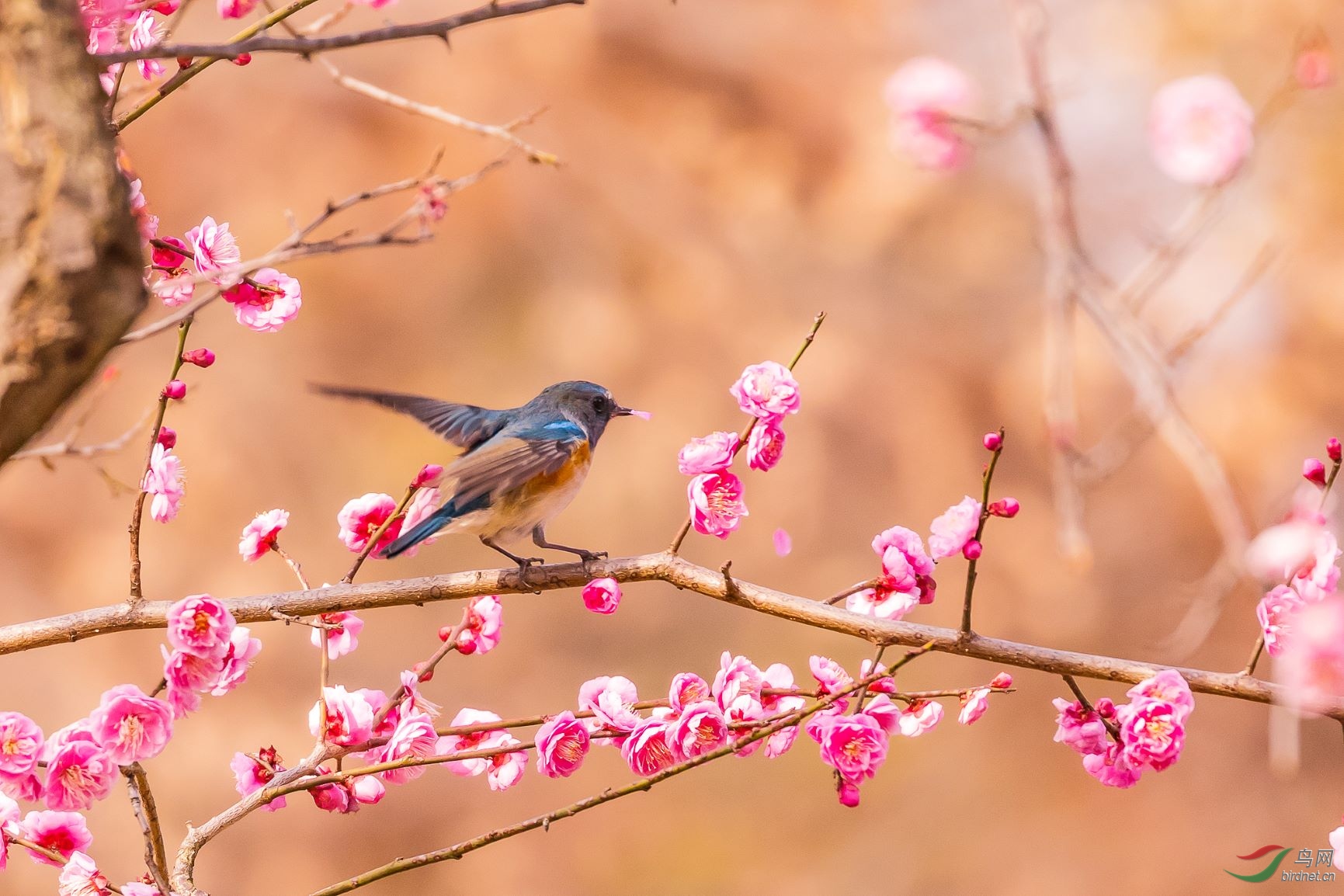2019.02.16.10.28.57_37392-Edit.JPG