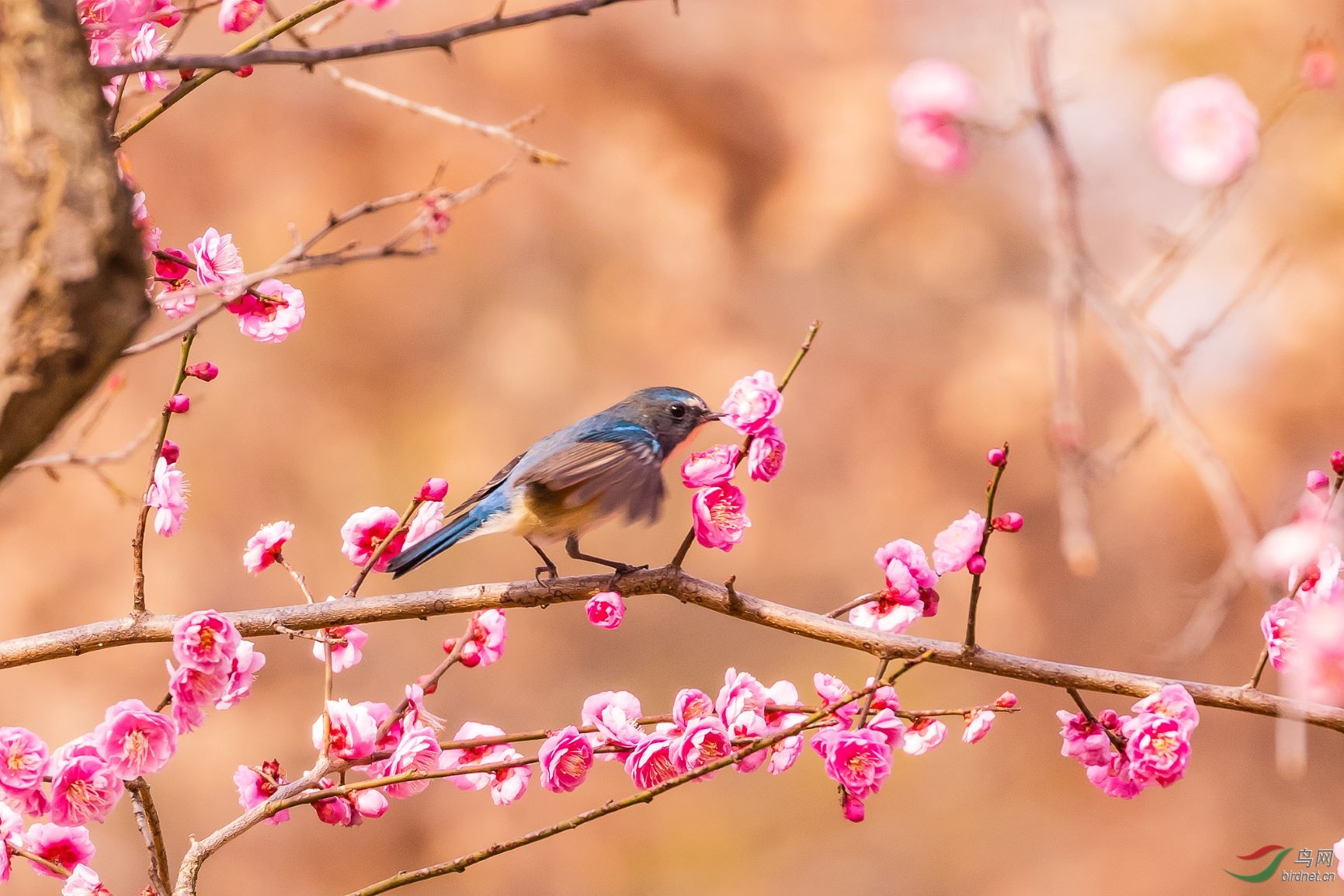2019.02.16.10.28.51_37386-Edit.JPG