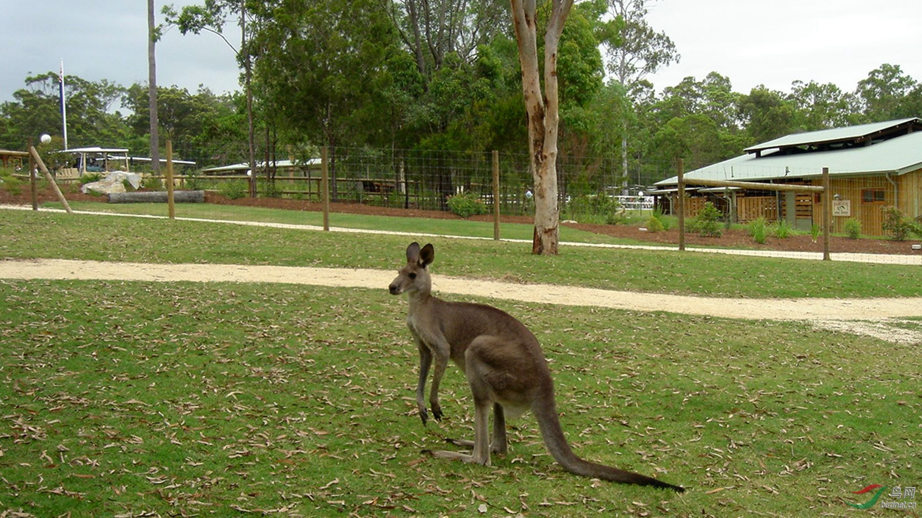 ��Ƭ 1031_����.jpg