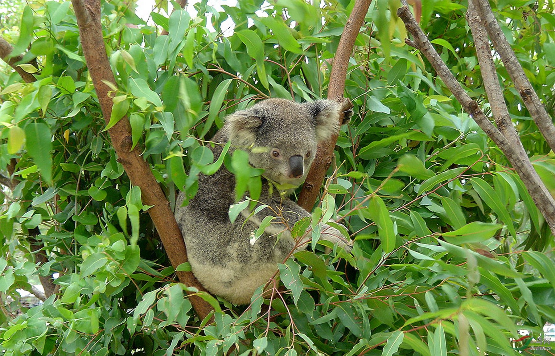 ��Ƭ 1034_����.jpg