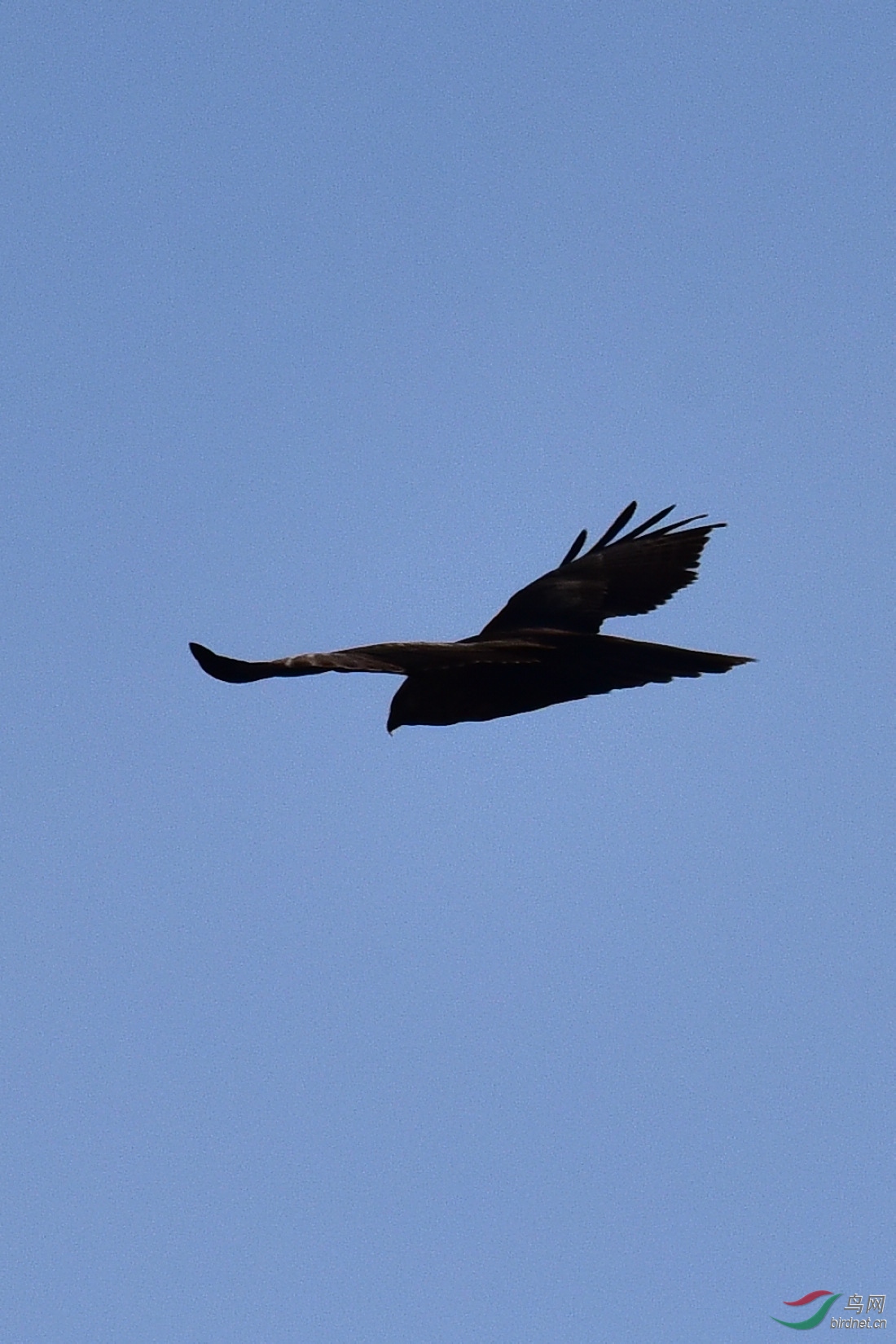 DSC_0290.JPG