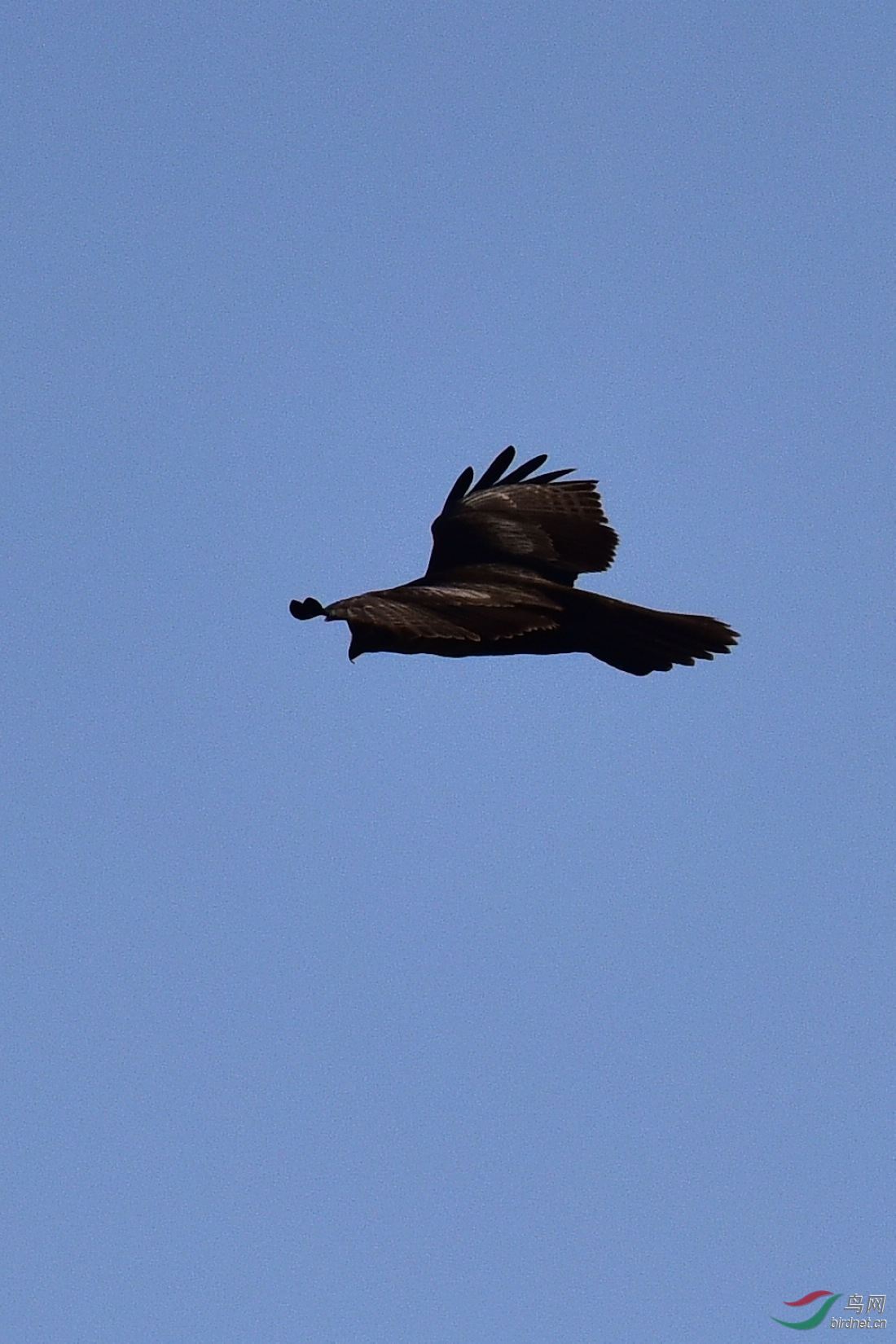 DSC_0291.JPG