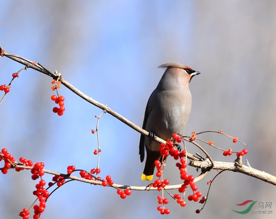 DSC_4940_��ͼ��.jpg