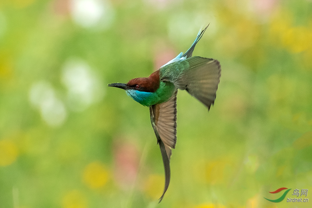 DSCF1748.jpg