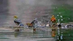 A05.jpg