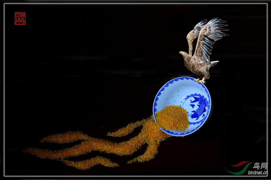 ������ ��β����.jpg