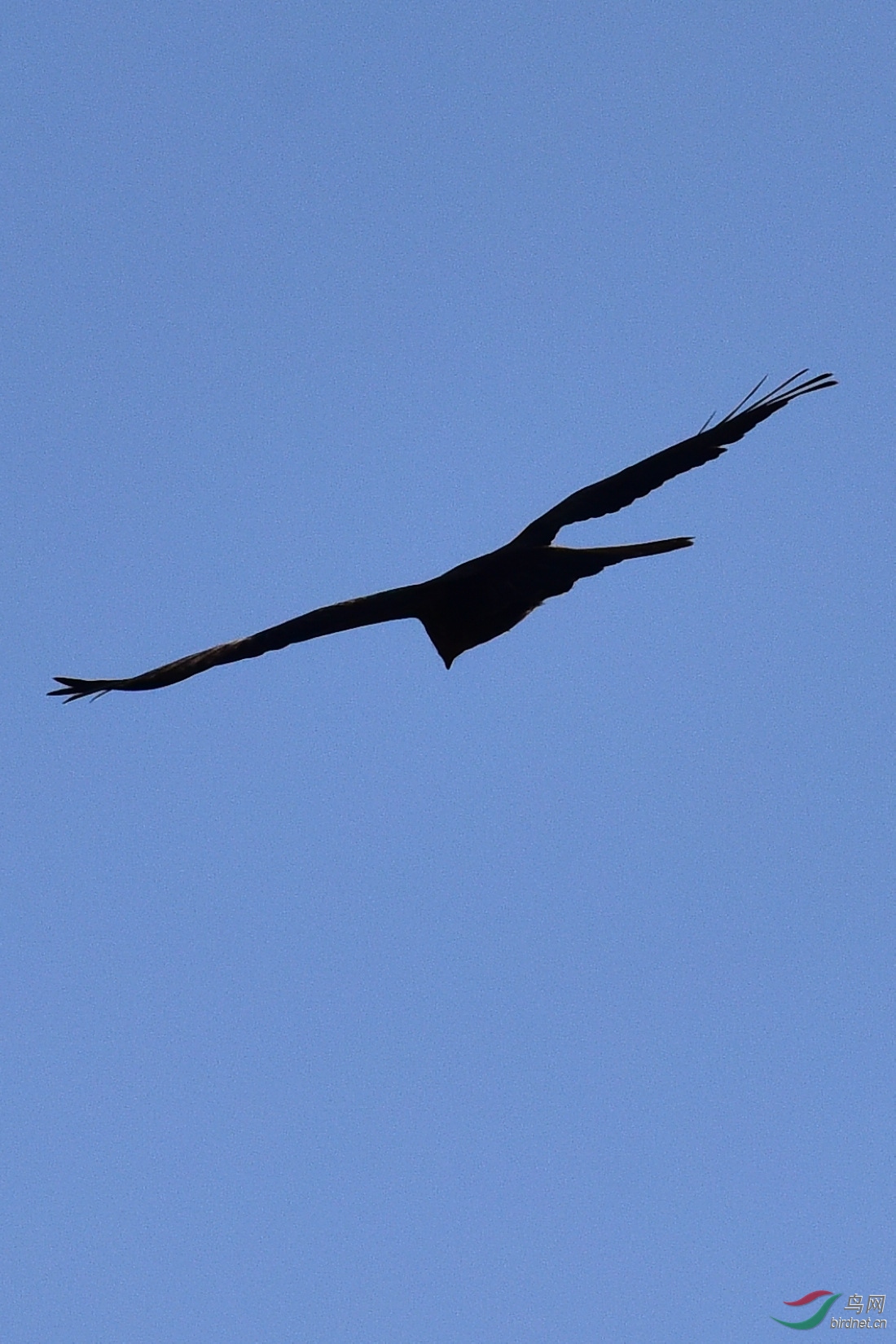 DSC_0297.JPG