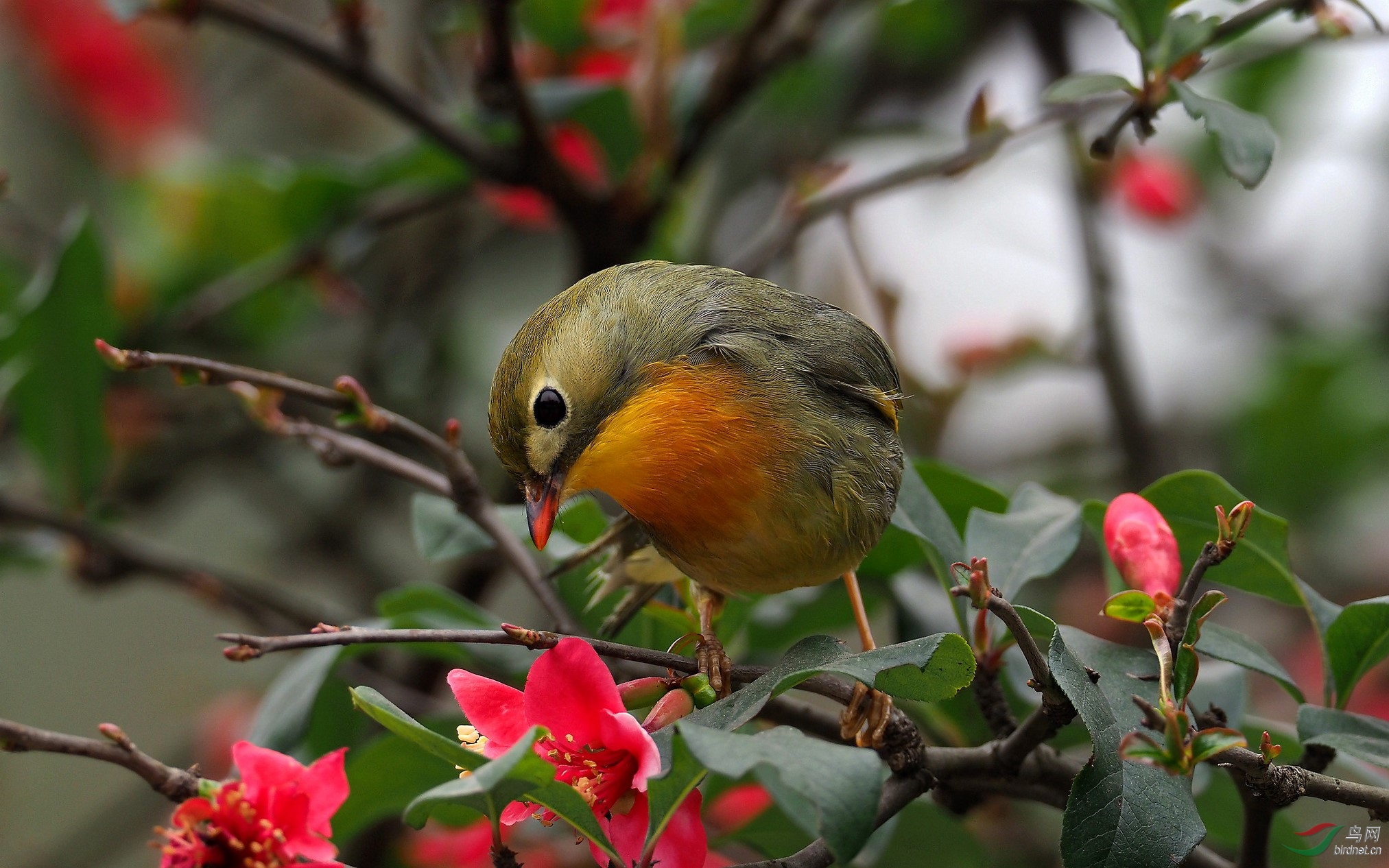 P2131234_����_DxO (����).jpg