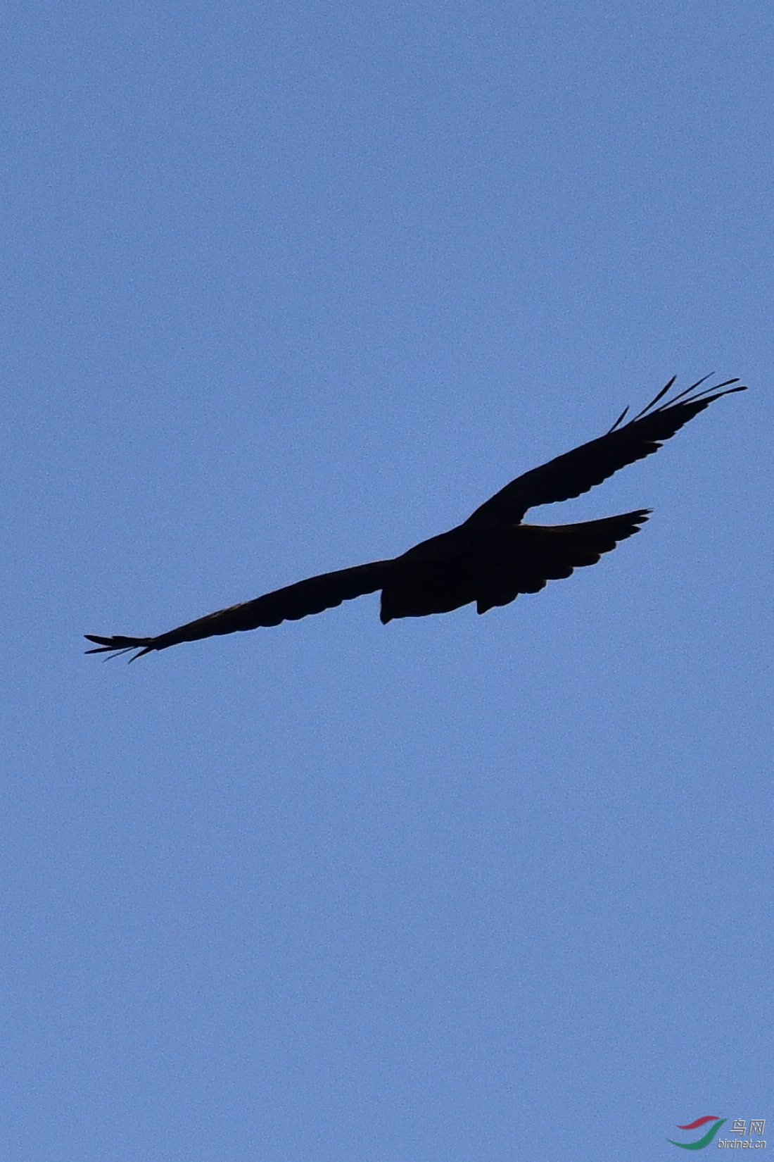DSC_0298.JPG