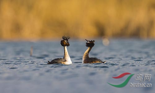 ET2W0128.jpg
