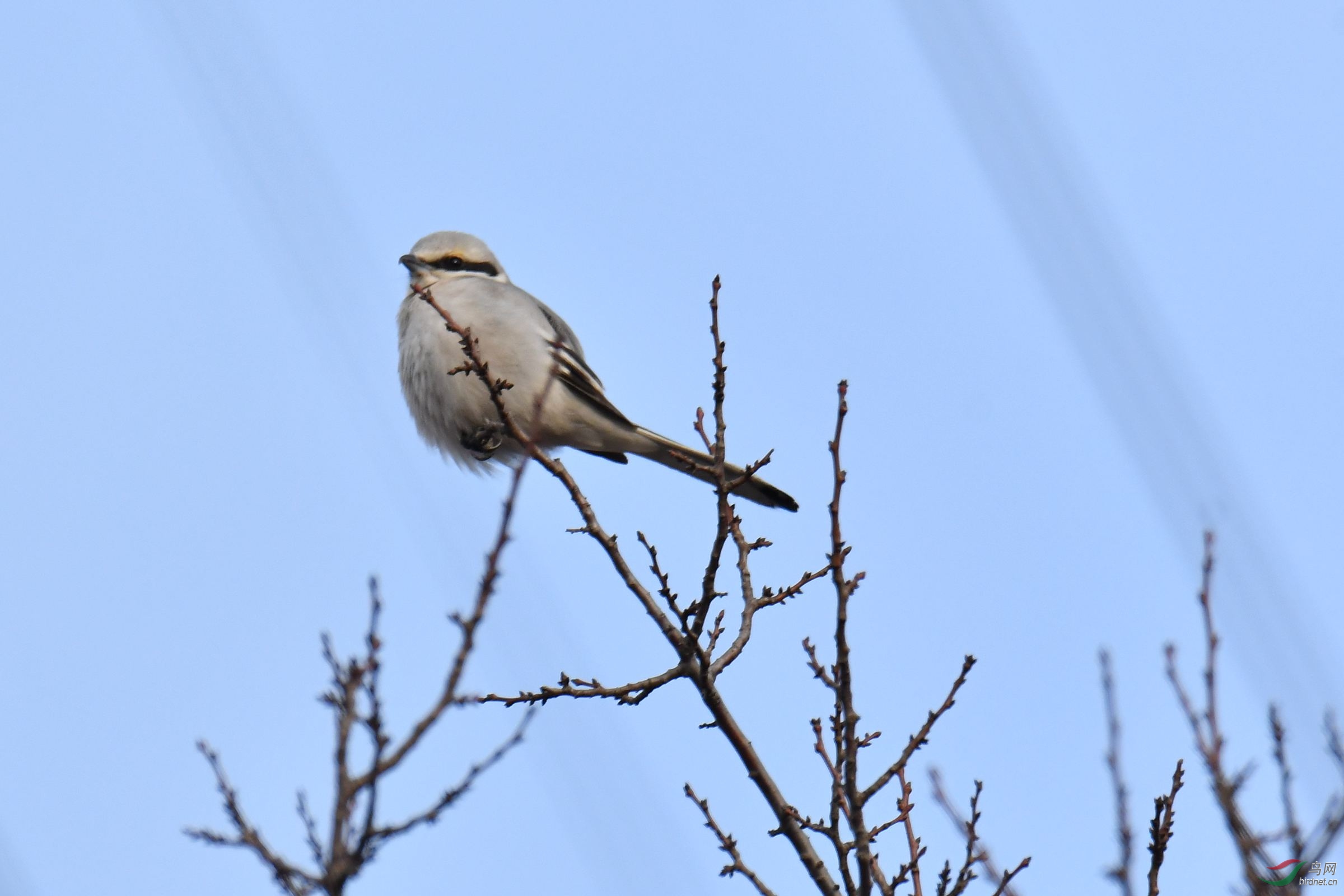 DSC_0006.JPG.jpg