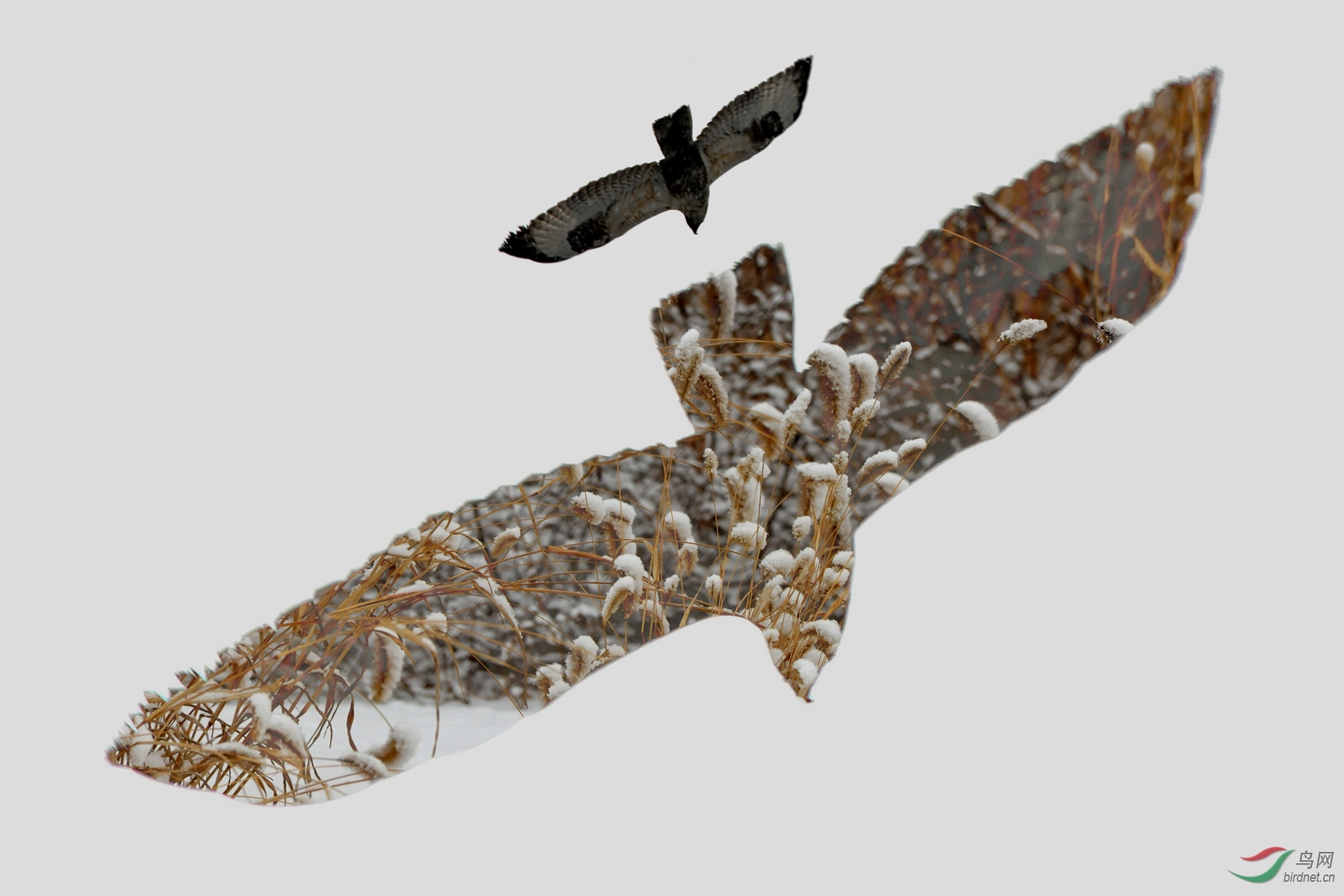 LY2_1082 ����_����_����.jpg