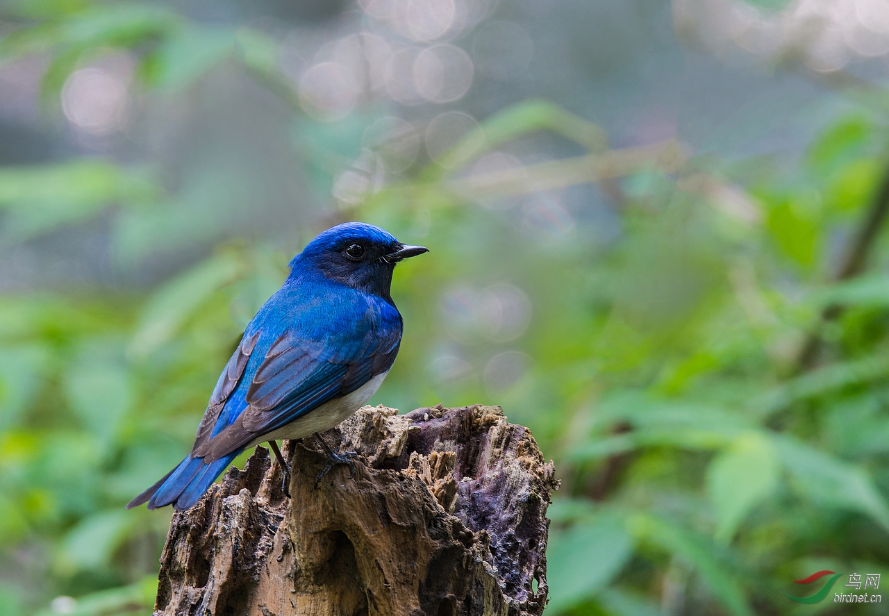 DSC_2573.jpg