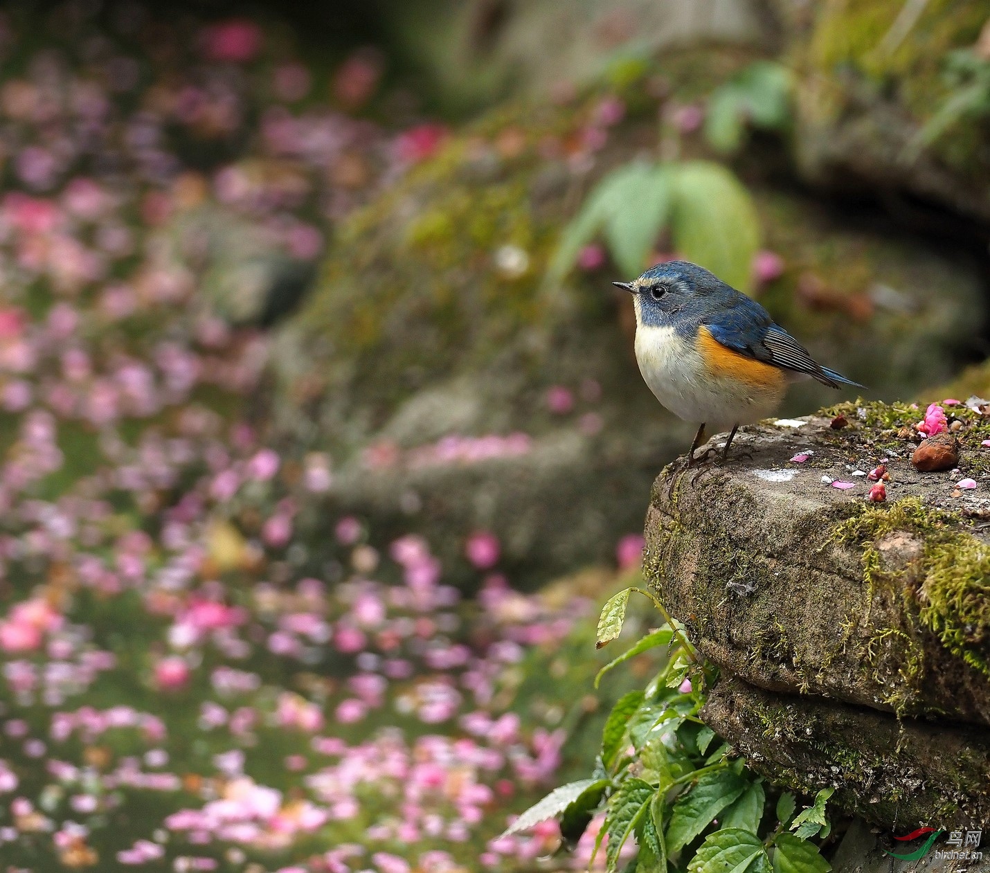 P2151884_����_DxO (����).jpg