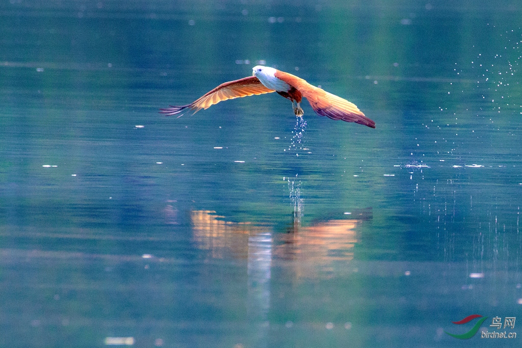 3S5A9929  _����.jpg