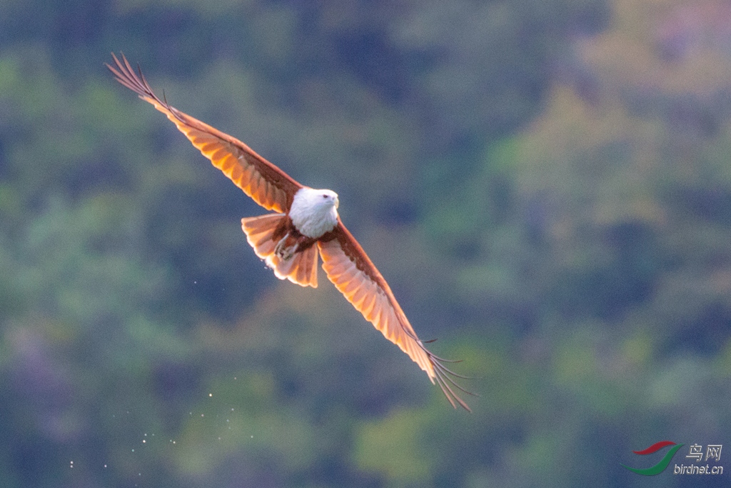 3S5A9932  ӵ������_����.jpg