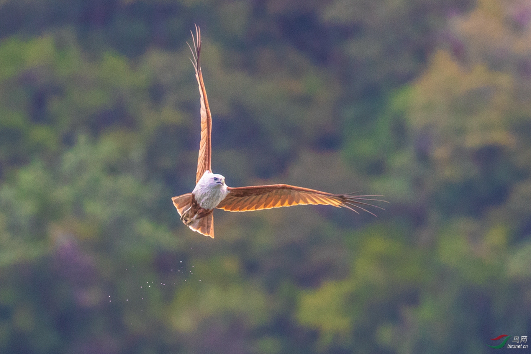 3S5A9931 01_����_����.jpg