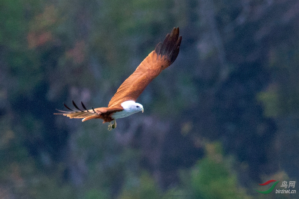 3S5A9951  ���衪�����01_����.jpg