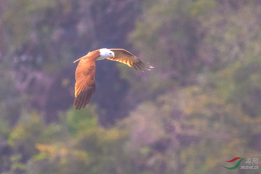 3S5A9952  01_����_����.jpg