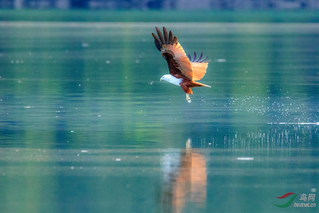 3S5A9959  01_����.jpg