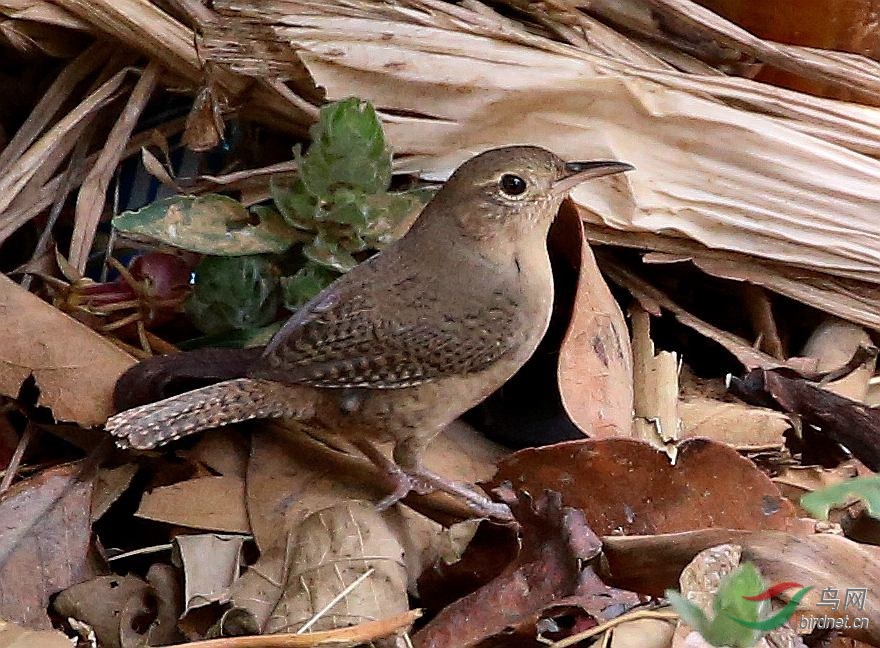 4����������