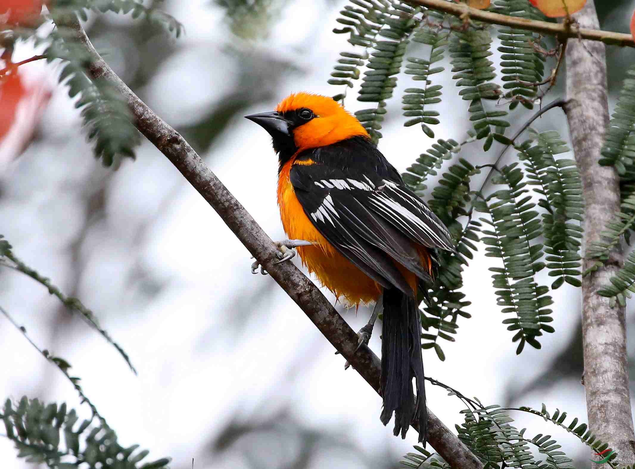 8ī��������