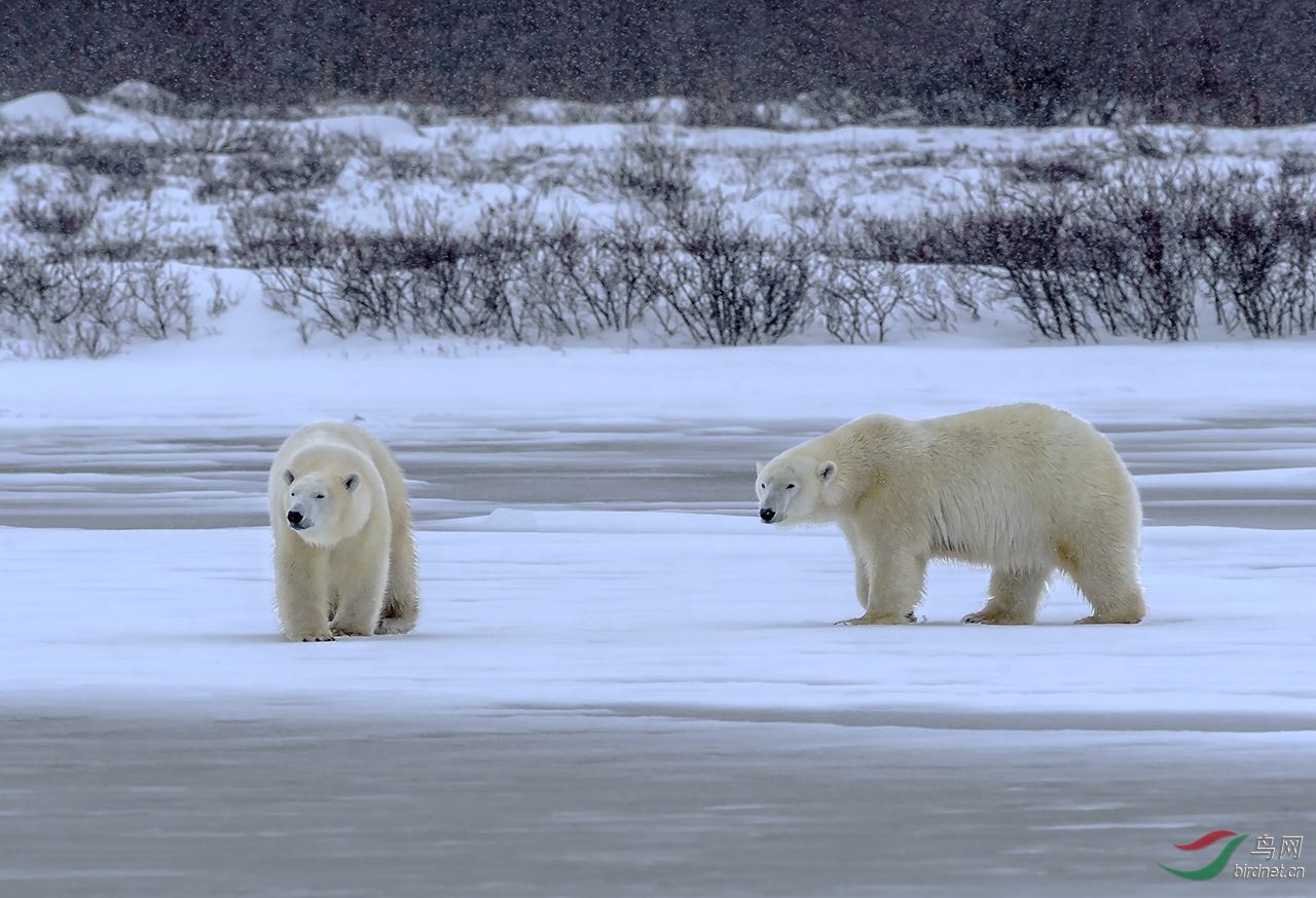 _DSC1040-W.jpg