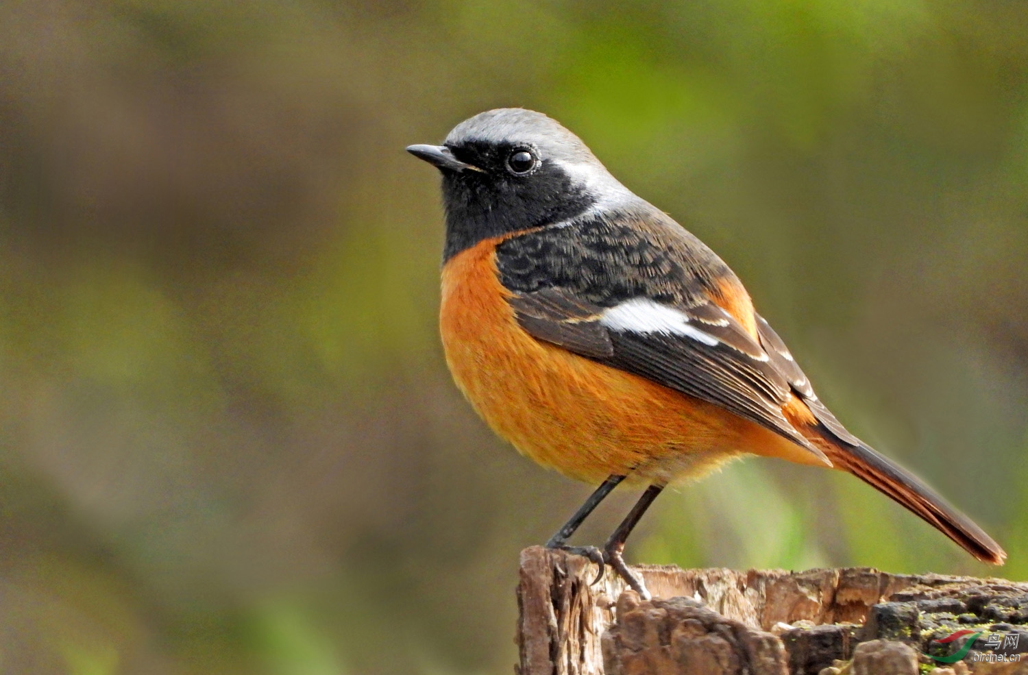 DSCN8826 ����.jpg