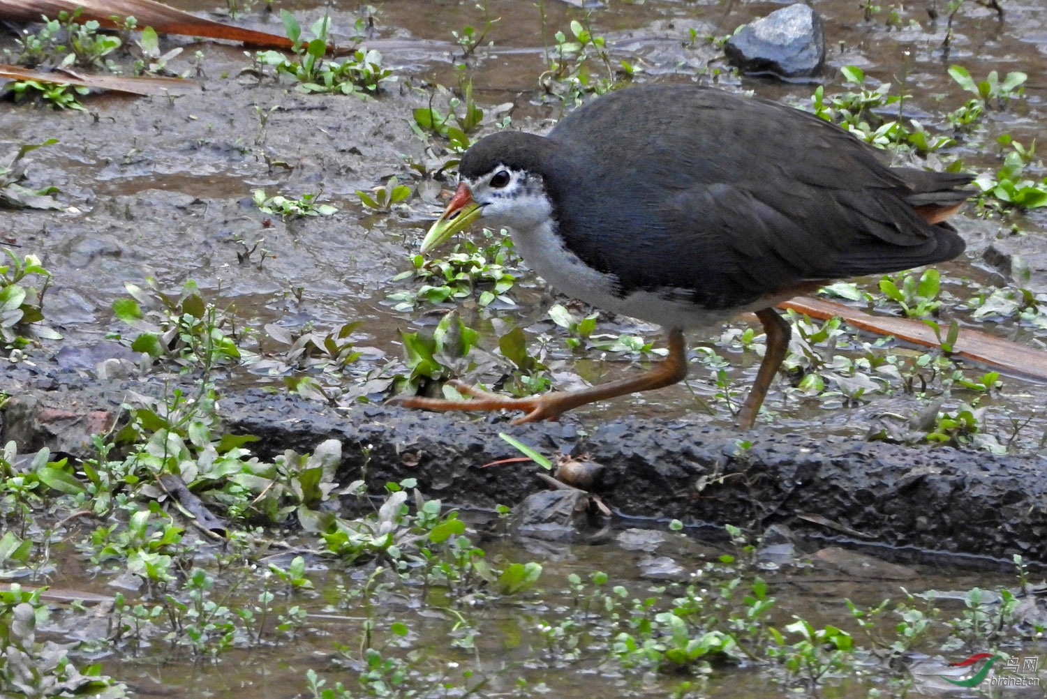 DSCN8876 ����.jpg