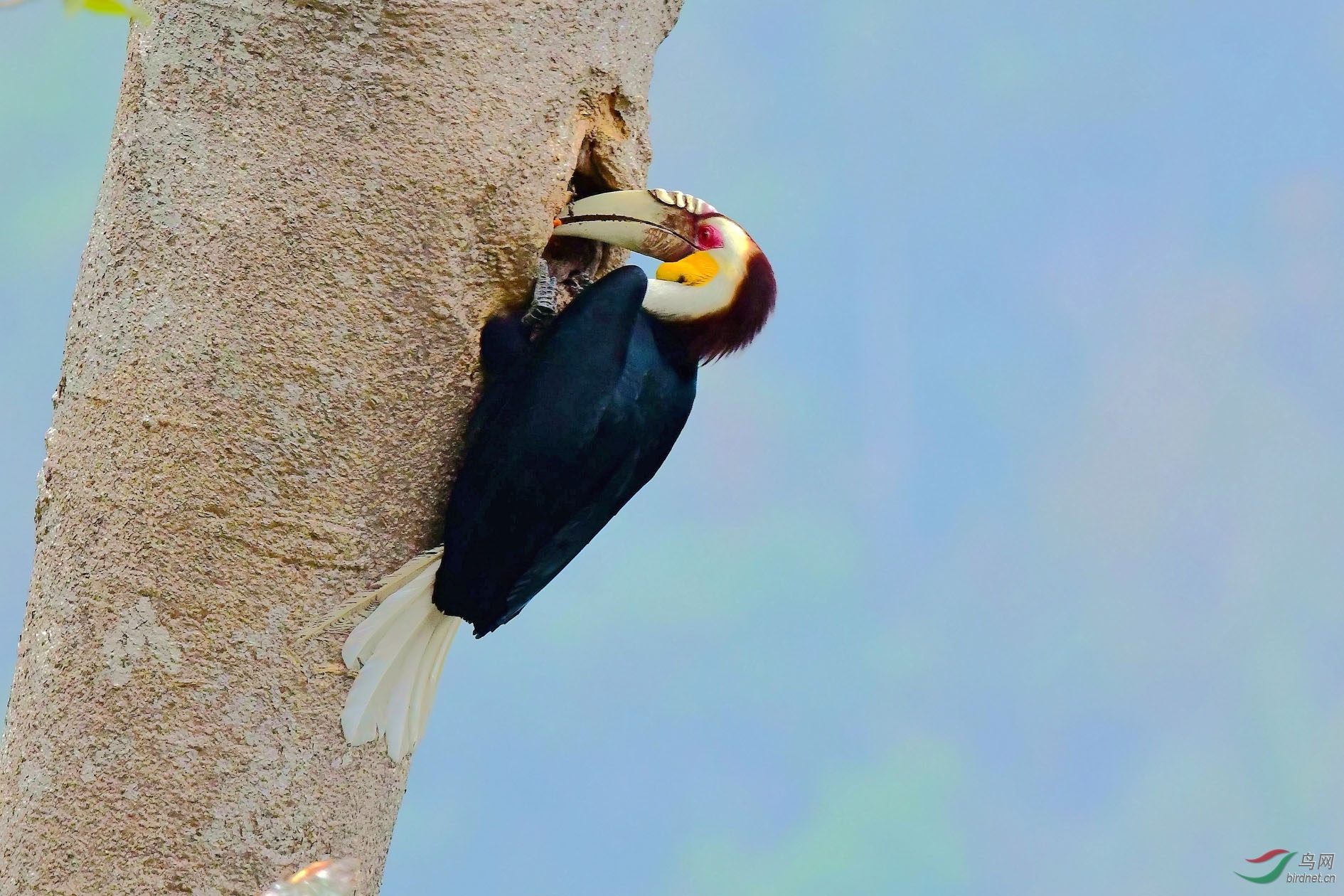 DSC_6526_����.jpg